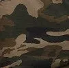 Benvolio Cargo Pants